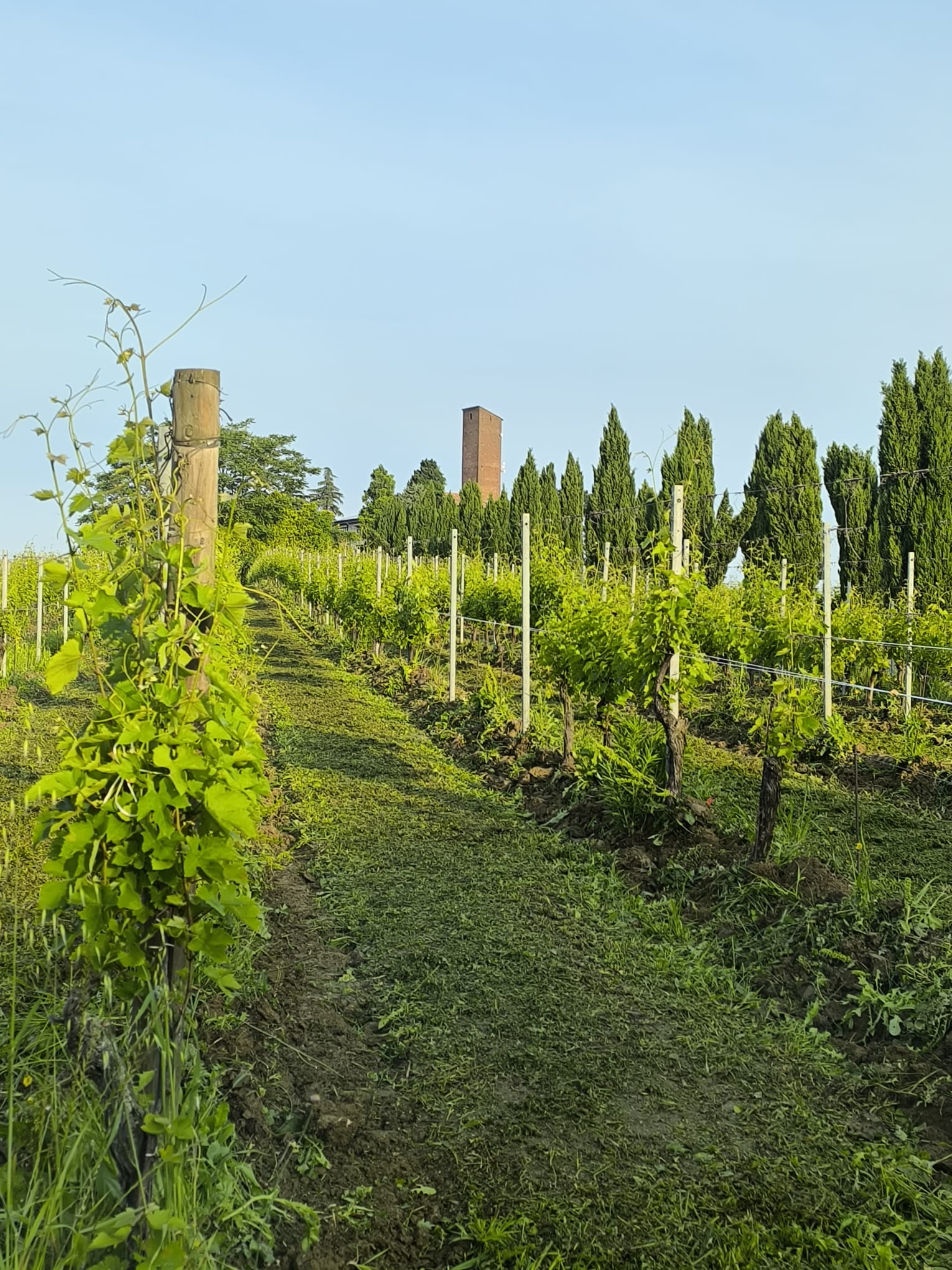 b8e987ae-1db8-4b8f-9481-bd4ea756f063 (1)